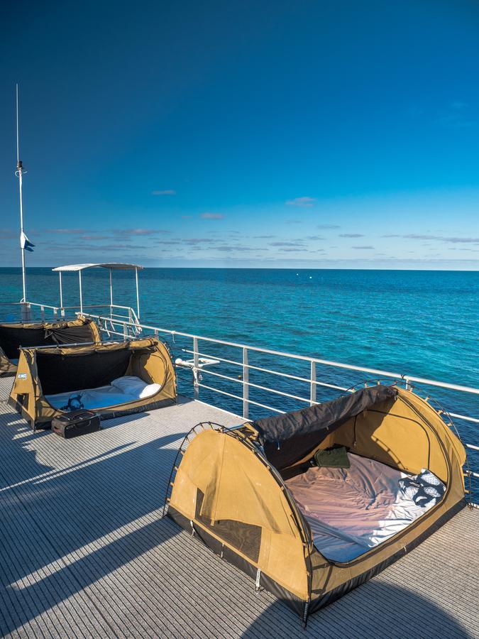 فندق شاطئ إيرليفي  Reefsleep المظهر الخارجي الصورة